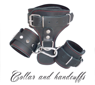 Collar And Handcuffs Attached By Carabiner